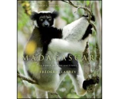 MADAGASCAR. LA FORET DE NOS ANCETRES