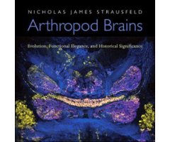 ARTHROPOD BRAINS. EVOLUTION, FUNCTIONAL ELEGANCE, AND HISTORICAL SIGNIFICANCE