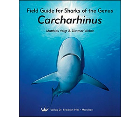 FIELD GUIDE FOR SHARKS OF THE GENUS CARCHARHINUS