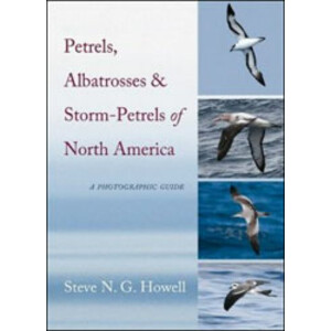 PETRELS, ALBATROSSES AND STORM-PETRELS OF NORTH AMERICA. A PHOTOGRAPHIC GUIDE