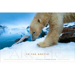 TO THE ARCTIC