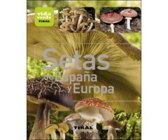 SETAS DE ESPAÑA Y DE EUROPA 2