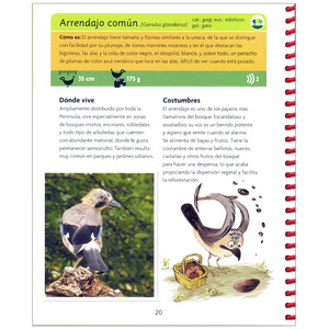 MI PRIMERA GUÍA DE AVES_1