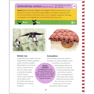 MI PRIMERA GUÍA DE AVES 3