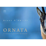 ORNATA. IL CAMOSCIO PIÙ BELLO DEL MONDO