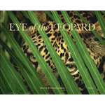 EYE OF THE LEOPARD
