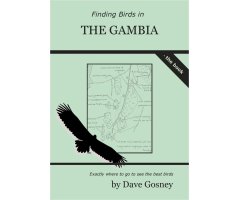 FINDING BIRDS IN THE GAMBIA