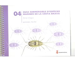 GUIA SUBMERGIBLE D\'ESPÈCIES MARINES DE LA COSTA BRAVA. 04 ARRAN D\'AIGUA