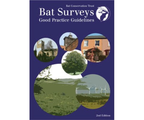 BAT SURVEYS. GOOD PRACTICE GUIDELINES