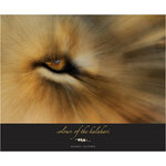 COLOURS OF THE KALAHARI