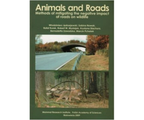 ANIMALS AND ROADS. METHODS OF MITIGATING THE NEGATIVE IMPACT OF ROADS ON WILDLIFE
