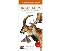 UNGULADOS. INTRODUCCIÓN A LAS ESPECIES IBÉRICAS, BALEARES Y CANARIAS. GUÍAS DESPLEGABLES TUNDRA