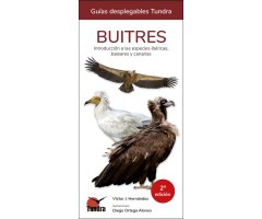 BUITRES. INTRODUCCIÓN A LAS ESPECIES IBÉRICAS, BALEARES Y CANARIAS. GUÍAS DESPLEGABLES TUNDRA