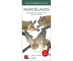 MURCIÉLAGOS. INTRODUCCIÓN A LAS ESPECIES IBÉRICAS, BALEARES Y CANARIAS. GUÍS DESPLEGABLE TUNDRA