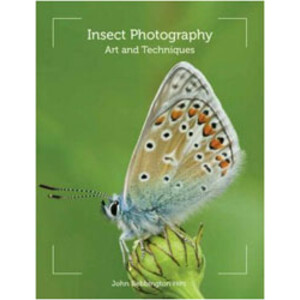 INSECT PHOTOGRAPHY. ART AND TECHNIQUES