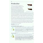 FIELD GUIDE TO THE MICRO-MOTHS OF GREAT BRITAIN AND IRELAND_1