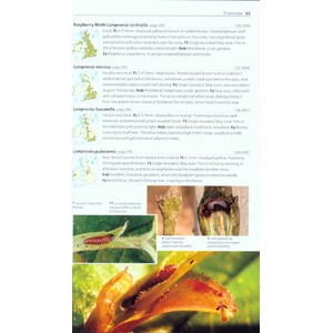 FIELD GUIDE TO THE MICRO-MOTHS OF GREAT BRITAIN AND IRELAND 3
