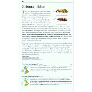 FIELD GUIDE TO THE MICRO-MOTHS OF GREAT BRITAIN AND IRELAND 6