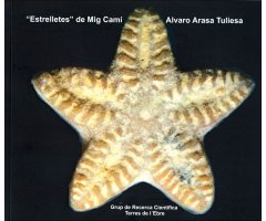 "ESTRELLETES" DE MIG CAMÍ