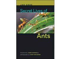 SECRET LIVES OF ANTS