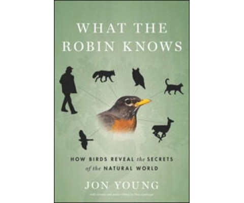WHAT THE ROBIN KNOWS