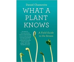 WHAT A PLANT KNOWS. A FIELD GUIDE TO THE SENSES. UPDATED AND EXPANDED EDITION