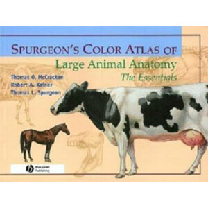 SPURGEON'S COLOR ATLAS OF LARGE ANIMAL ANATOMY. THE ESSENTIALS