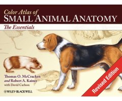 COLOR ATLAS OF SMALL ANIMAL ANATOMY. THE ESSENTIALS 