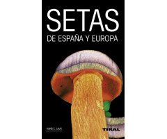 SETAS DE ESPAÑA Y EUROPA