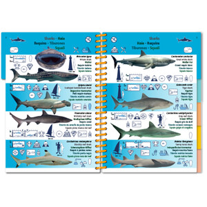 MARINE PICTOLIFE. INDIAN OCEAN AND RED SEA 3