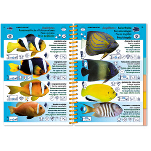 MARINE PICTOLIFE. INDIAN OCEAN AND RED SEA 4