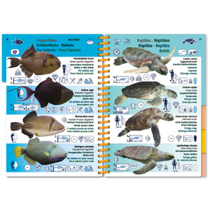 MARINE PICTOLIFE. INDIAN OCEAN AND RED SEA 5