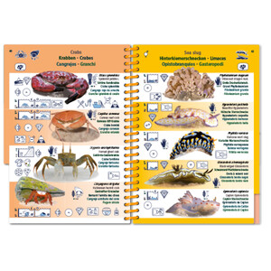 MARINE PICTOLIFE. INDIAN OCEAN AND RED SEA 6