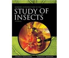 BORROR AND DELONG\'S INTRODUCTION TO THE STUDY OF INSECTS