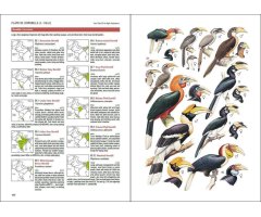 BIRDS OF SOUTH ASIA. THE RIPLEY GUIDE. 2 VOLUME SET_1