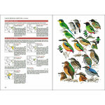 BIRDS OF SOUTH ASIA. THE RIPLEY GUIDE. 2 VOLUME SET 3