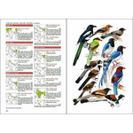 BIRDS OF SOUTH ASIA. THE RIPLEY GUIDE. 2 VOLUME SET 4
