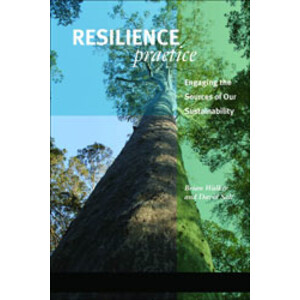 RESILIENCE PRACTICE. BUILDING CAPACITY TO ABSORB DISTURBANCE AND MAINTAIN FUNCTION