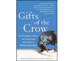 GIFTS OF THE CROW