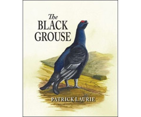 THE BLACK GROUSE