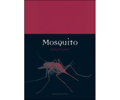 MOSQUITO