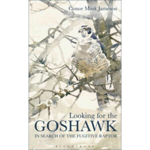 LOOKING FOR THE GOSHAWK