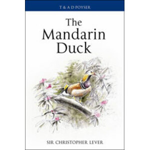 THE MANDARIN DUCK