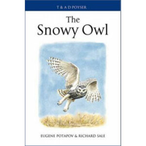 THE SNOWY OWL