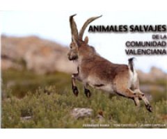 ANIMALES SALVAJES DE LA COMUNIDAD VALENCIANA 2