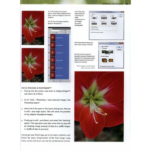 DIGITAL PLANT PHOTOGRAPHY 4