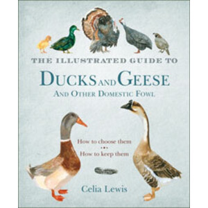 THE ILLUSTRATED GUIDE TO DUCKS AND GEESE AN OTHER DOMESTIC FOWL