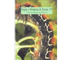 ORUGAS Y MARIPOSAS DE EUROPA. VII