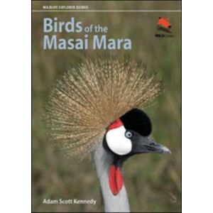 BIRDS OF THE MASAI MARA