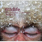 WILDLIFE PHOTOGRAPHER OF THE YEAR. PORTFOLIO 22